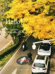 -中国黄金(北京旗舰店)