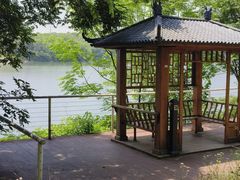-佛手湖郊野公园