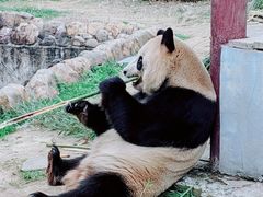 -杭州野生动物世界