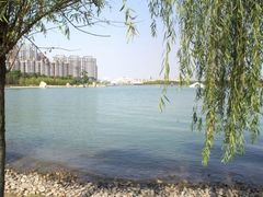 -暨阳湖生态园