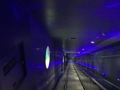 -白鹤梁水下博物馆