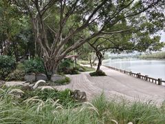 -时光花园(白鹭洲店)