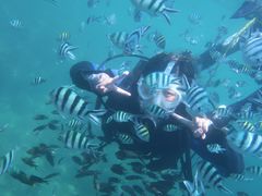 -鑫艋游艇海钓俱乐部