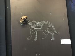 -北京周口店北京人遗址博物馆