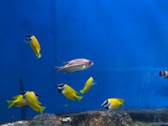 -福州罗源湾海洋世界旅游区