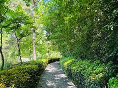 -天目湖涵田度假村