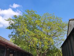 -慈城古县城景区