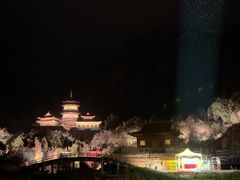 -禅宗少林·音乐大典