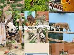 -青藏高原野生动物园