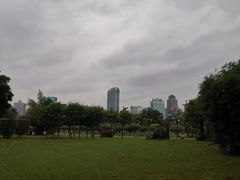 -万绿园