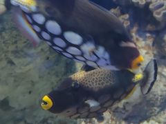 -福州罗源湾海洋世界旅游区