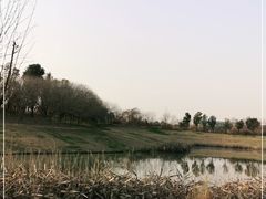 -两河城市森林公园