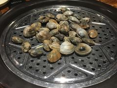 花蛤-船奇蒸汽海鲜·闽菜(八市海鲜总店)