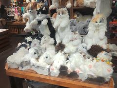 -番茄口袋(上海普陀区环球港店)