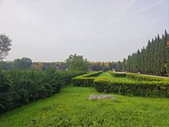 -汉景帝阳陵博物院