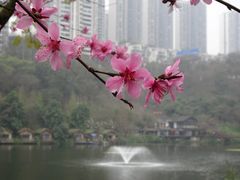 -重庆彩云湖湿地公园