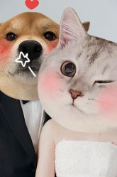 -北遇映画PHOTO GRAPHY STUDIO