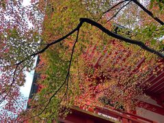-醍醐寺