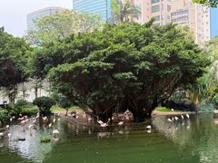 -九龙公园