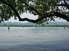 -西湖外事游船(花港观鱼码头)