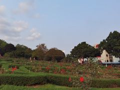 -紫马岭公园
