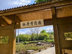 -黑龙江省森林植物园