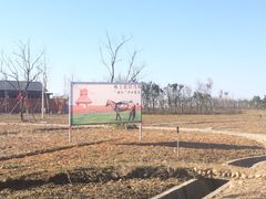 -杭州湾海上花田景区