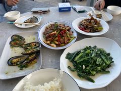 -魚當家