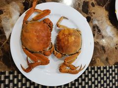 螃蟹-云海轩·海鲜自助-河北云瑧世纪大饭店1F