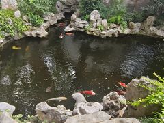 -鲤院·新中式美学·庭院餐厅(夫子庙店)