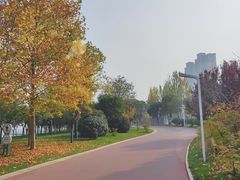 -灞河西岸滨河公园