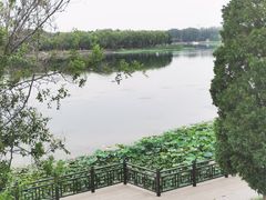 -素心小筑(后沙裕镇店)