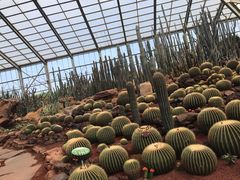 -南通洲际绿博园