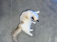 -零纪元VR体验馆·桌游(黄浦店)