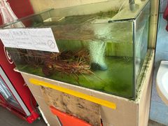 -真浪大家乐海鲜餐馆