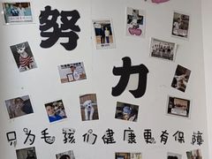 -宠福鑫动物医院(城北分院)