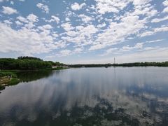 -大兴滨河森林公园