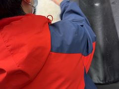 -伟伟宠物医院·CT影像中心·瑞派犬猫综合性门诊(汉口总院)