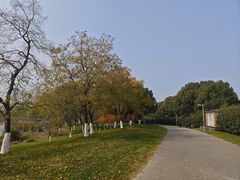 -九里河湿地公园