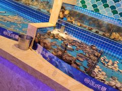 水产区-乔哥铭洋海鲜自助(皇城恒隆广场店)