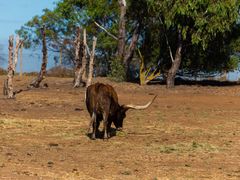 -威勒比开放式动物园