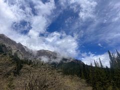 -白马王朗自然风景区