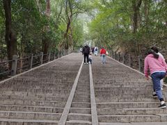 -上海佘山国家森林公园西佘山园