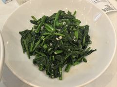 蒜蓉炒板蓝根苗-玉华台饭庄·淮扬菜·烤鸭(望京店)