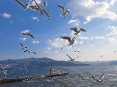 -大理洱海