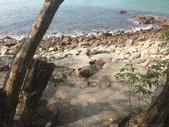 南丫岛-南丫岛