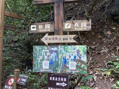 -西双版纳原始森林公园