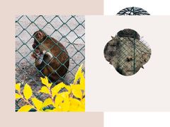 -新疆天山野生动物园