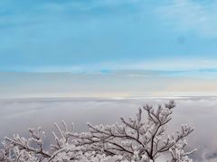 -安吉龙王山风景区