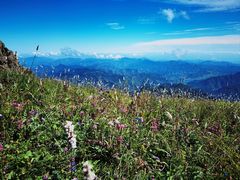-白草畔自然风景区